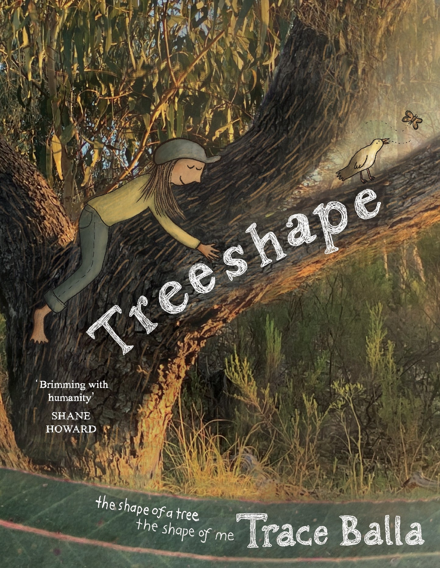Treeshape