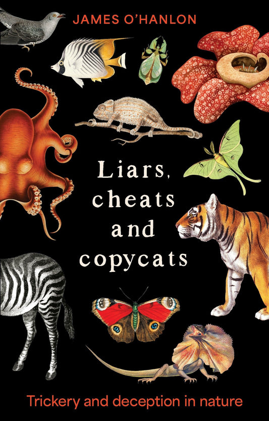 Liars Cheats And Copycats