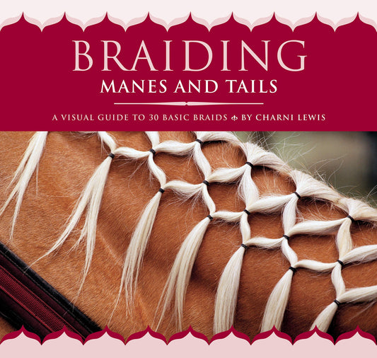 Braiding Tails Horses