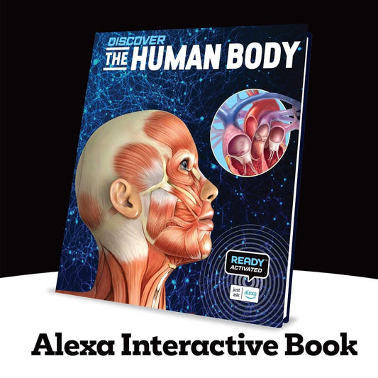Discover The Human Body 979