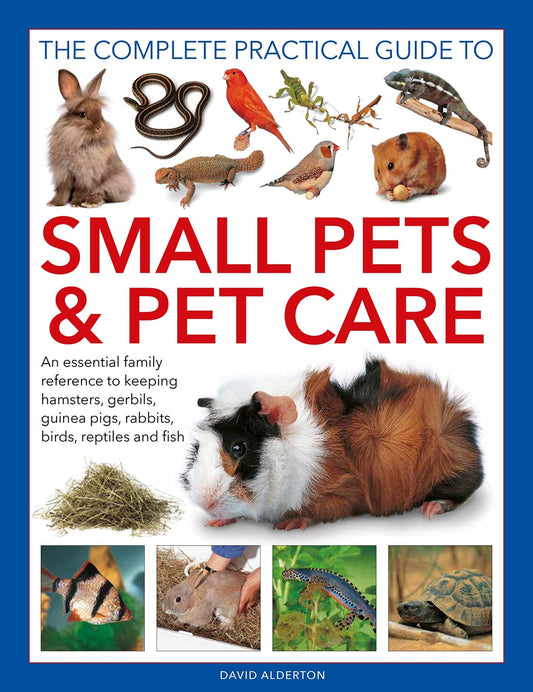 Small Pets And Pet Care
