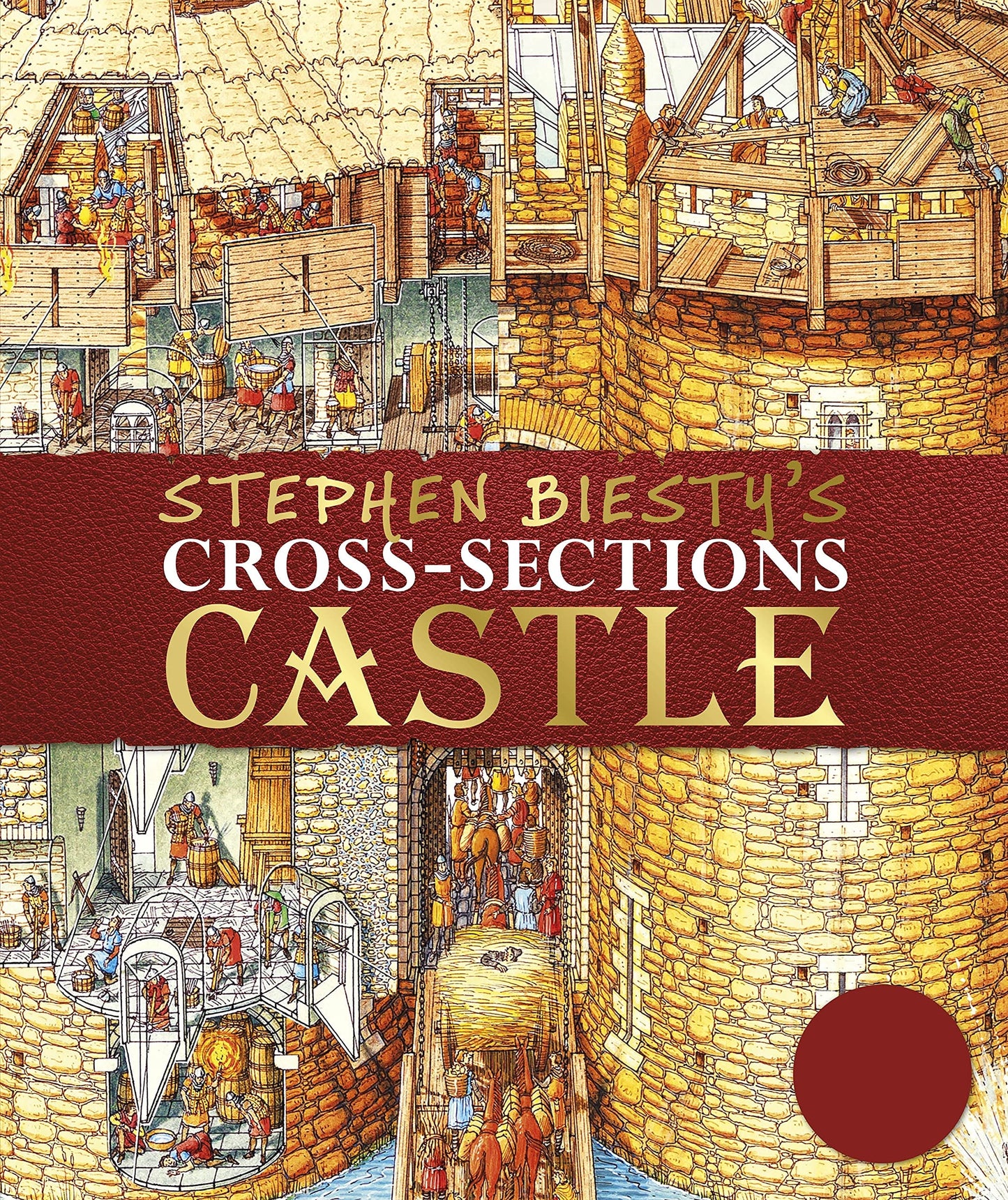 Stephen Biesty's Castles
