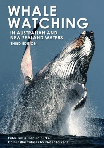 Whale Watching In Australia & Nz