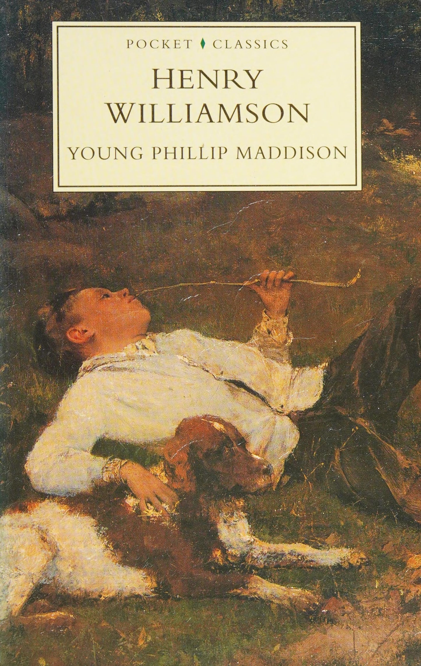 Young Phillip Maddison