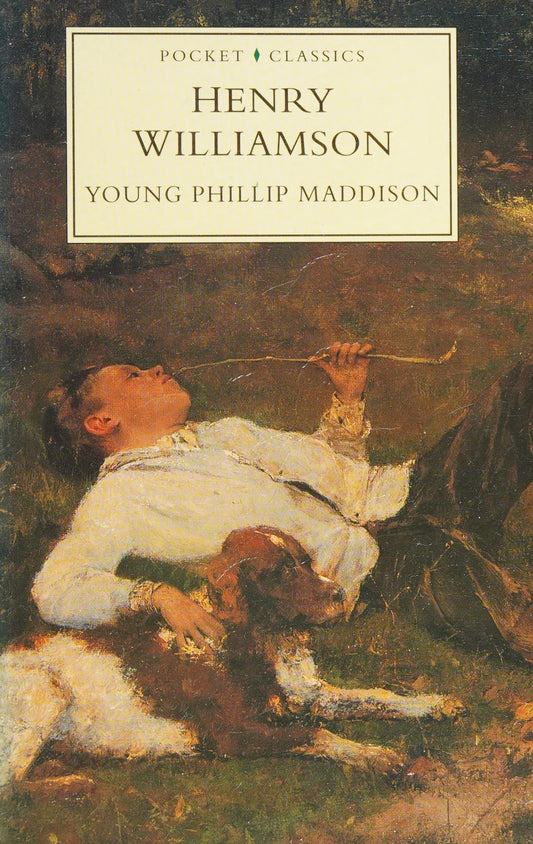 Young Phillip Maddison