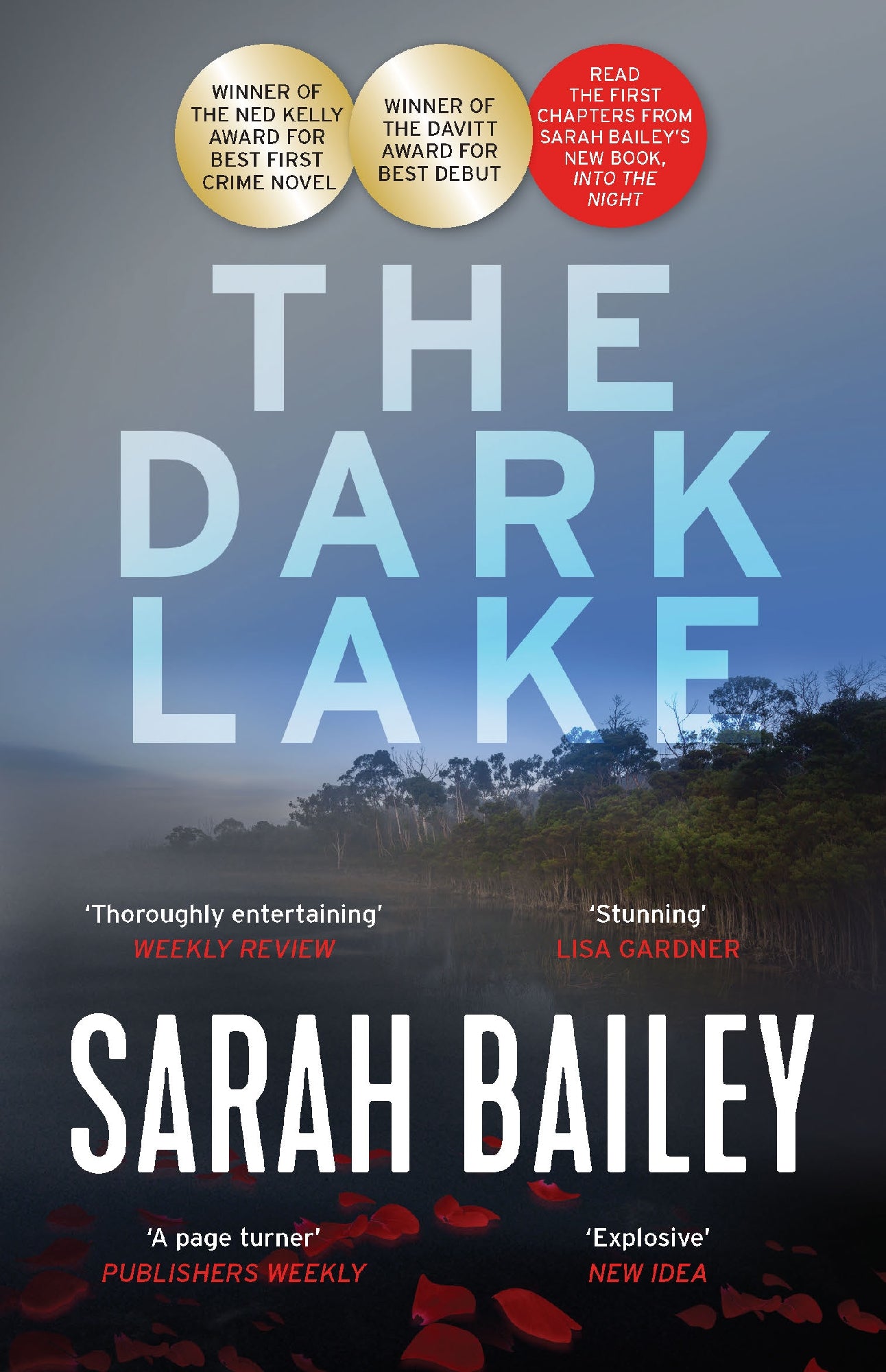 Dark Lake
