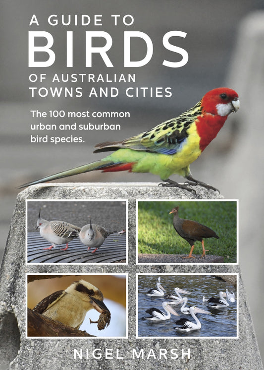 Guide To Birds Of Australian Towns