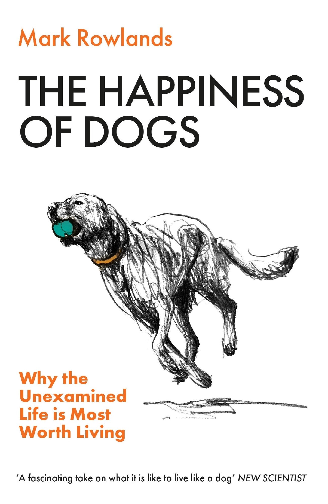 Happiness Of Dogs
