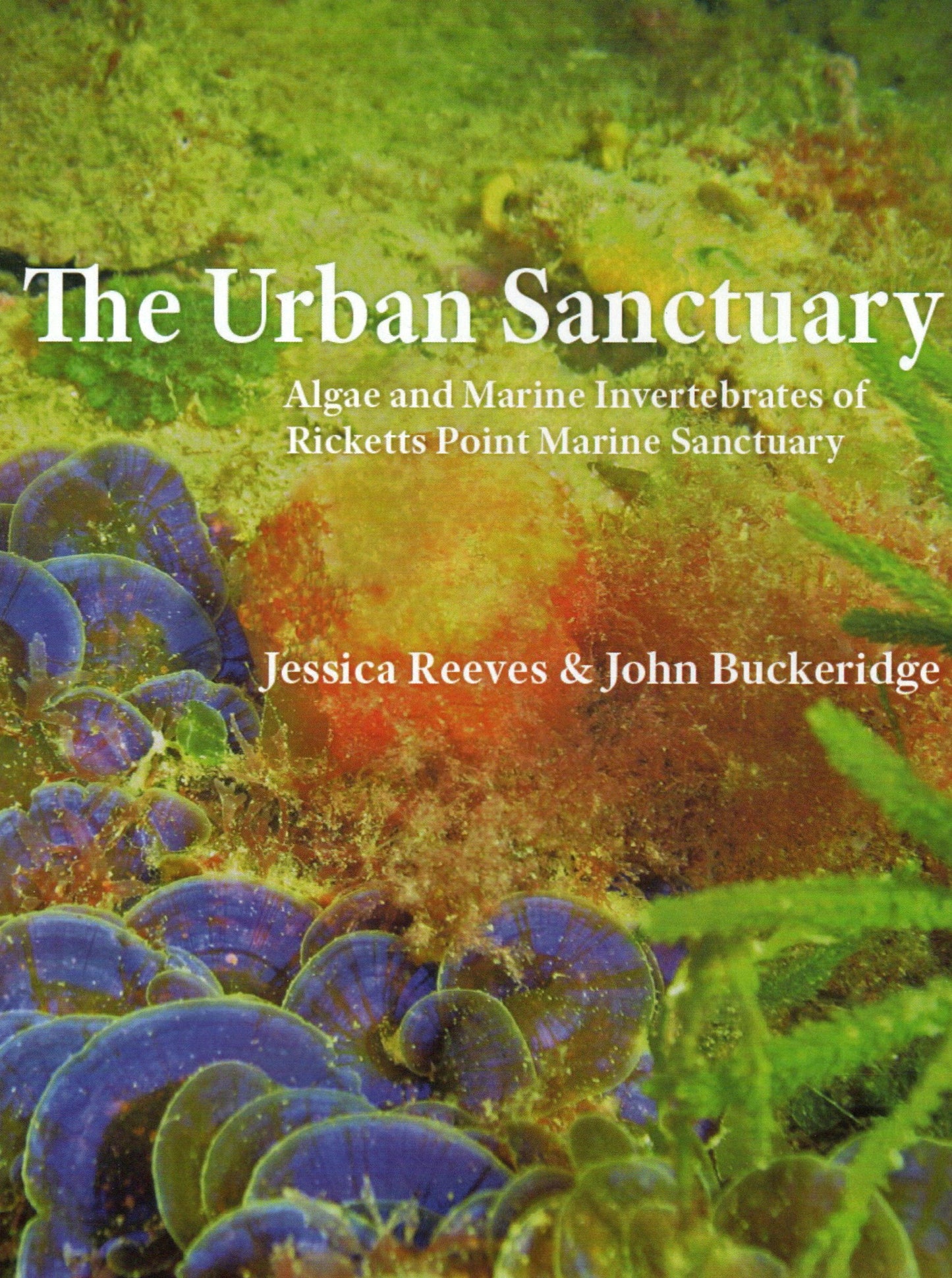 The Urban Sanctuary Vol 1