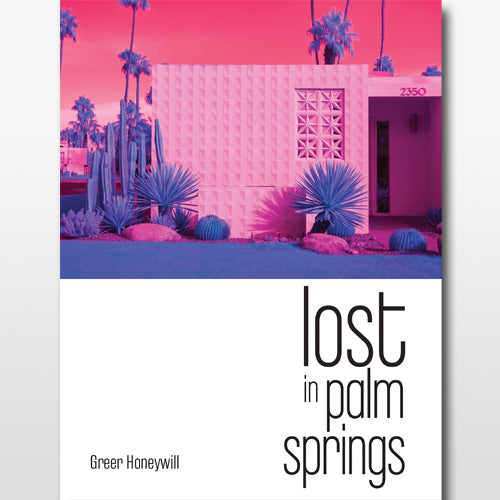 lost in palm springs